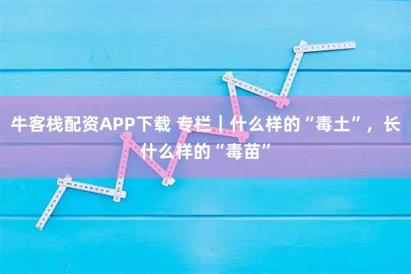 牛客栈配资APP下载 专栏｜什么样的“毒土”，长什么样的“毒苗”