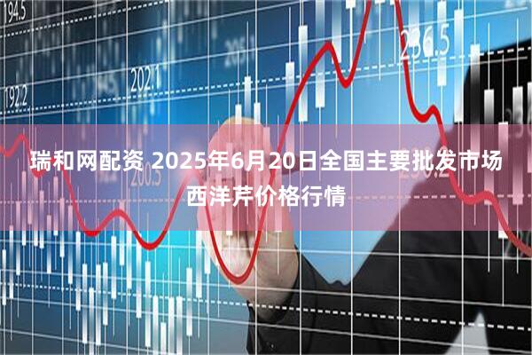 瑞和网配资 2025年6月20日全国主要批发市场西洋芹价格行情